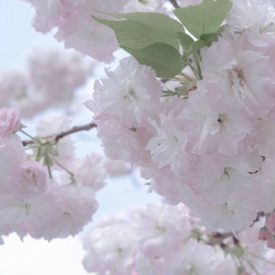 Furry绘画技巧合集兽圈社群